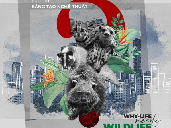 [WHY-LIFE NEEDS WILDLIFE] Save Vietnam's Wildlife x BOO