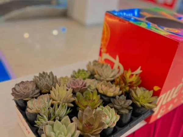 Thứ Tư Ngày Xanh cùng Vincom!