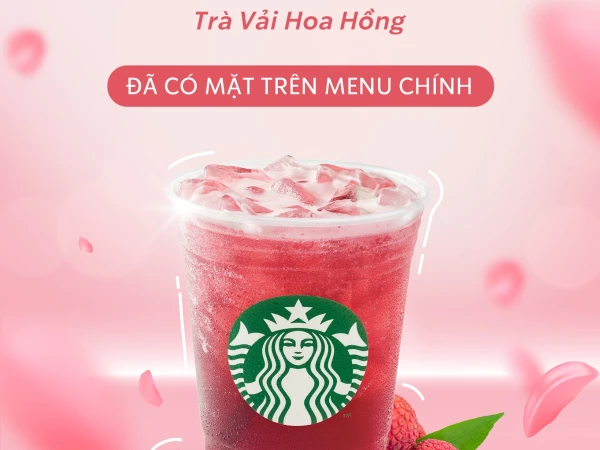 STARBUCKS - 