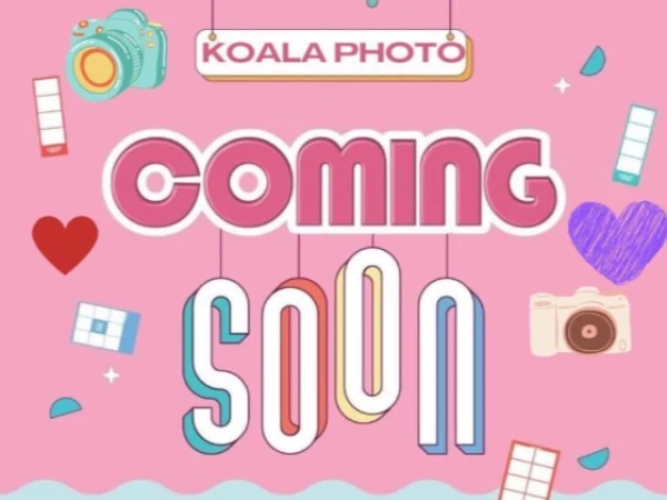 HOT HOT HOT- COMING SOON- KOALA PHOTO