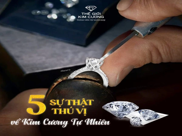 5 SỰ THẬT THÚ VỊ VỀ KIM CƯƠNG TỰ NHIÊN