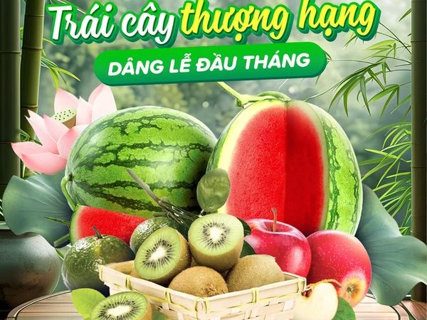 TRÁI CÂY THƯỢNG HẠNG DÂNG LỄ ĐẦU THÁNG