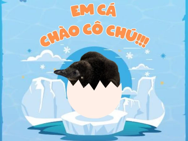 🎉 Em Cá Xin Chào!!! 🐧🎂