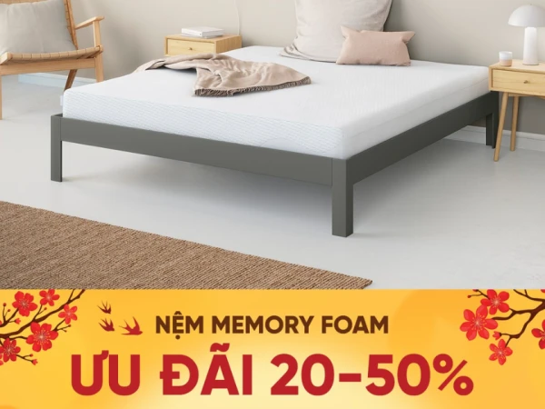 ƯU ĐÃI 20-50% Nệm Memory Foam: Ngủ êm - Cả nhà ngon giấc