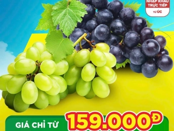 NHO ÚC NHẬP KHẨU - TƯƠI NGON GIÒN NGỌT GIÁ CHỈ 159K- CÓ SẴN TẠI WINMART THÁI HÒA