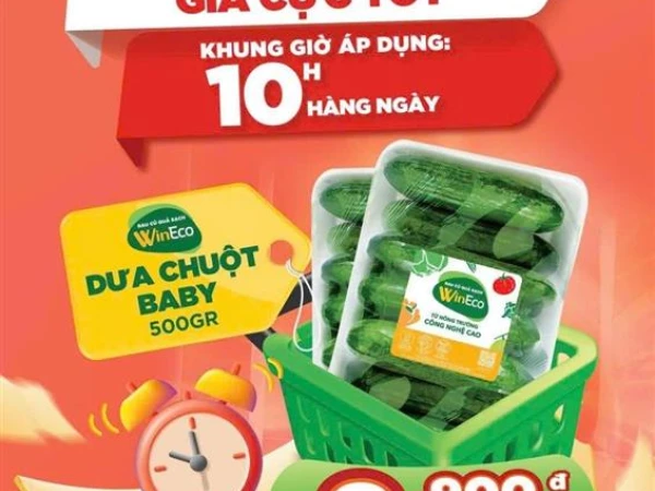 Winmart- giờ vàng giá sốc dưa chuột baby