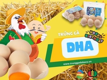 Trứng gà DHA Dabaco