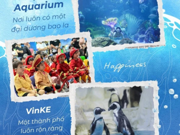 ✨ GẤP TRONG THÁNG NÀY, ƯU ĐÃI LÊN TỚI 50% DÀNH CHO CƯ DÂN VINHOMES & HỌC SINH VINSCHOOL ✨
