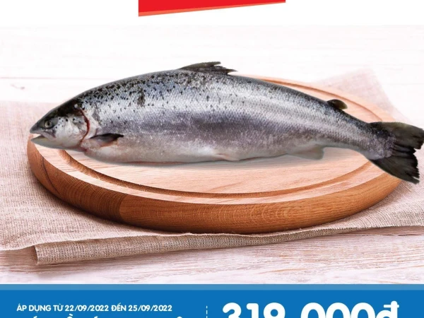 CÁ HỒI TƯƠI NGON - GIÁ SIÊU SỐC!!! Cá hồi Úc nguyên con 5-7kg/con: 319.000đ/kg (giá cũ: 359.000đ/kg)