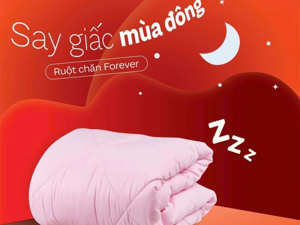 💤 SAY GIẤC MÙA ĐÔNG - RUỘT CHĂN FOREVER