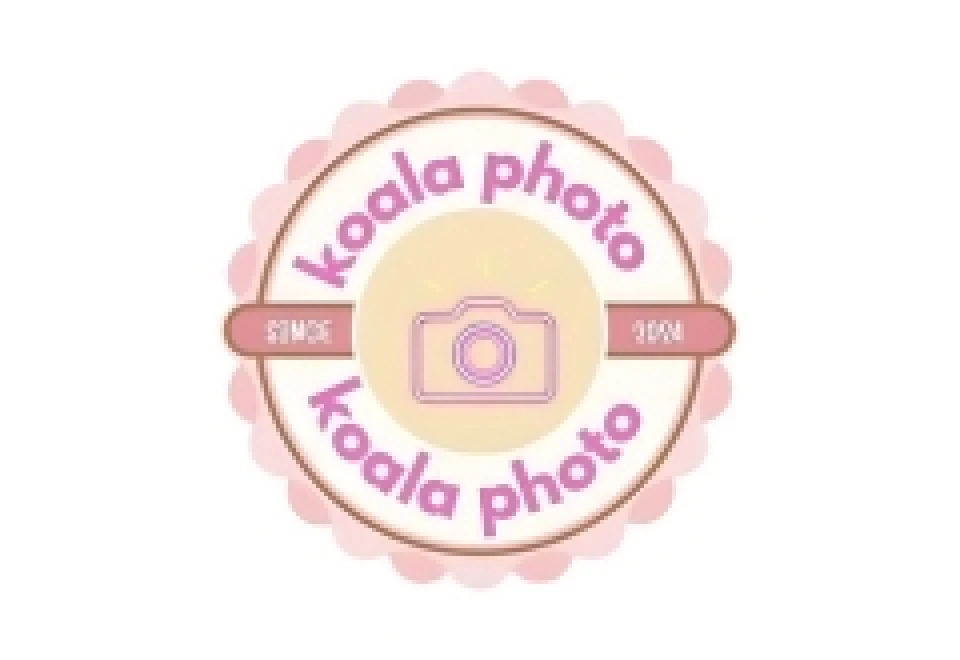 Koala Photo