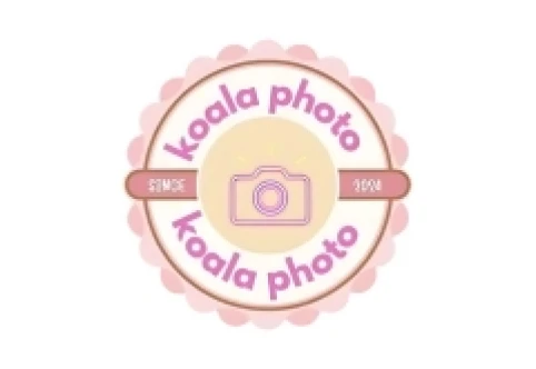 Koala Photo