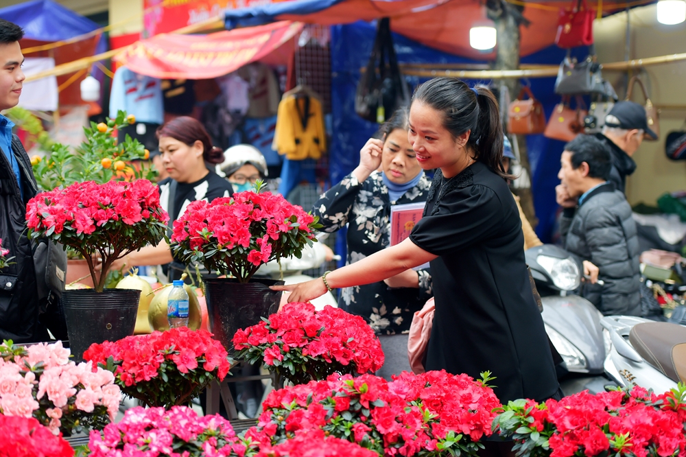 kỹ lưỡng trong việc chọn hoa