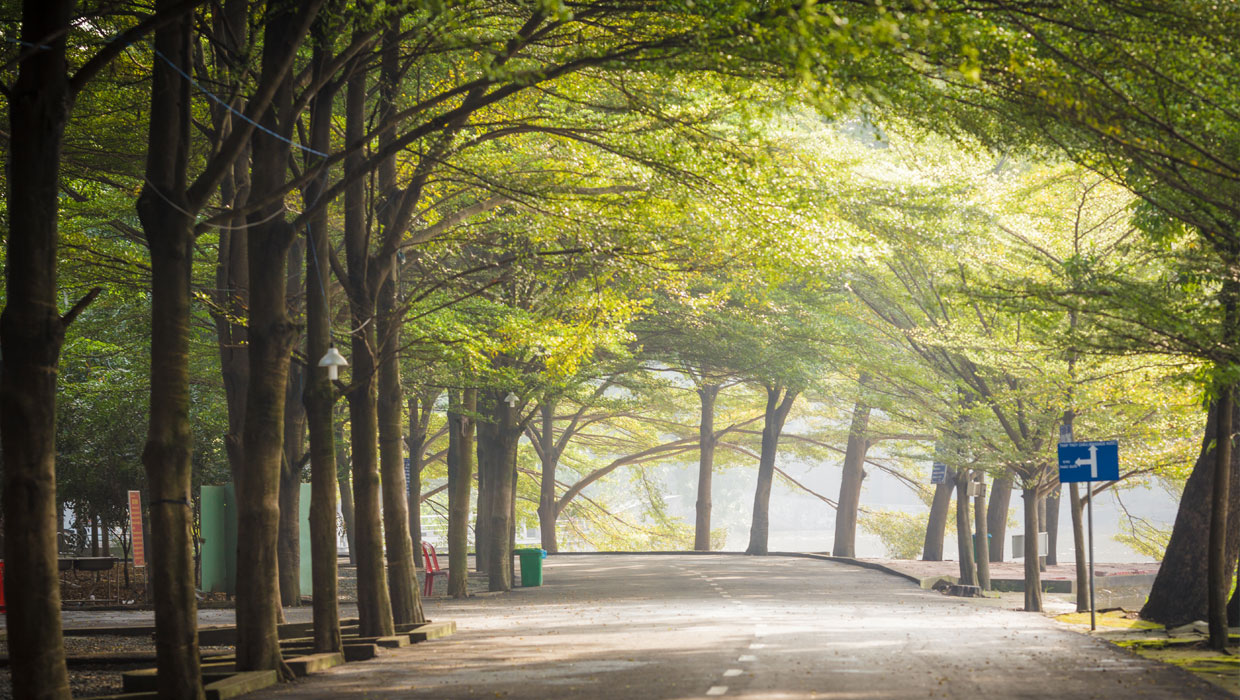 khung cảnh thơ mộng, lãng mạn chẳng khác mùa thu ở Hàn Quốc