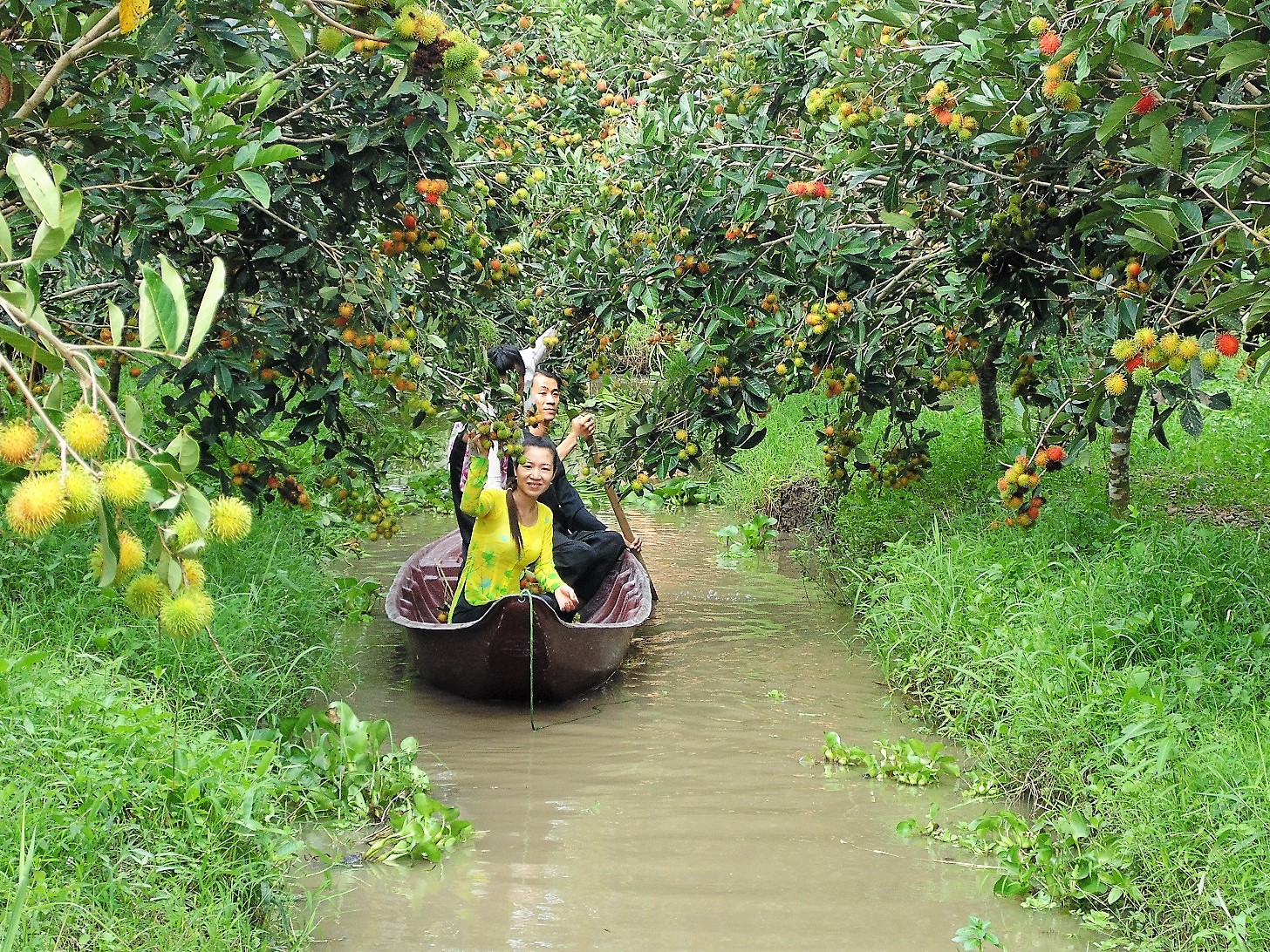 du khách có thể tham vườn trái cây bằng thuyền