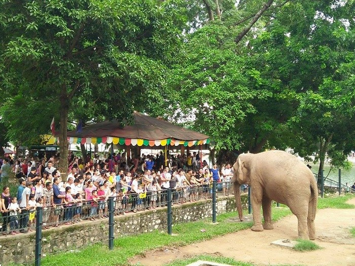 Khu vực vườn thú nhộn nhịp tại công viên Thủ Lê