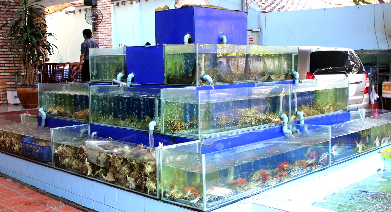 Nhà hàng Rạn Biển - nhà hàng có bể hải sản ấn tượng TPHCM 