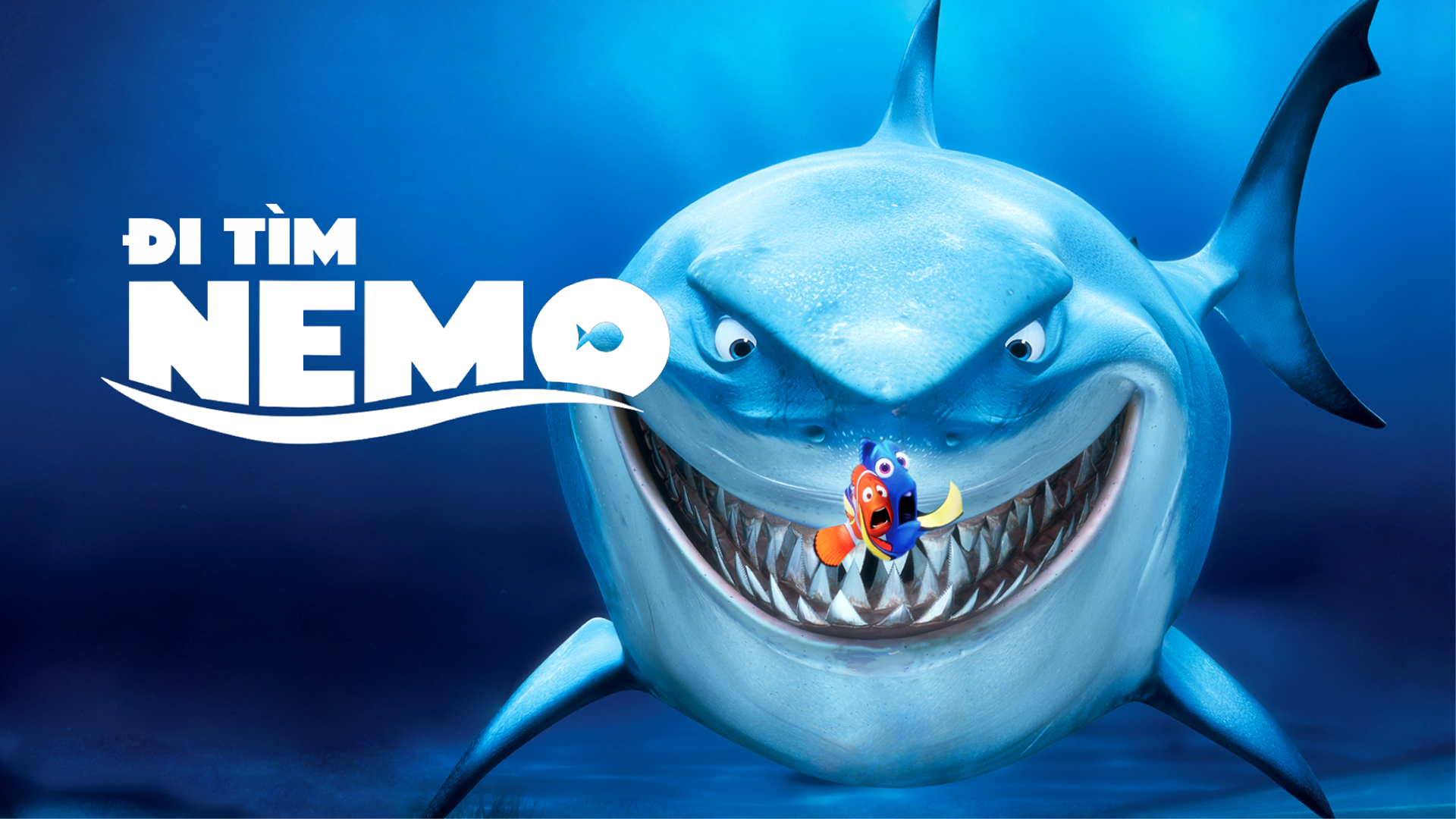 Đi tìm Nemo - Phim hoạt hình Disney thú vị