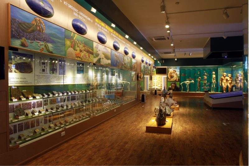 Bảo tàng thiên nhiên Việt Nam