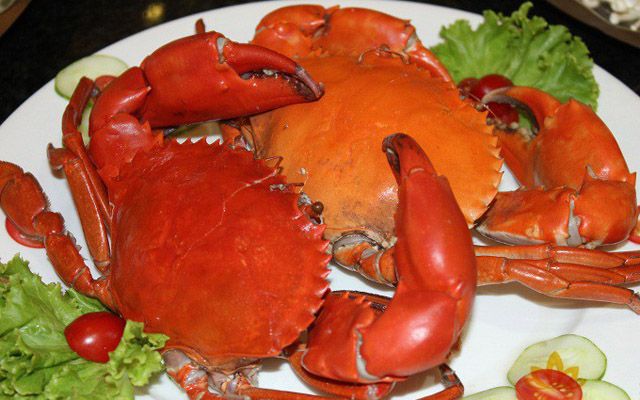 món hải sản cực kỳ tươi ngon tại Sen Việt